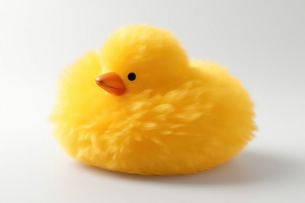 Rubber duck poultry animal fluffy.