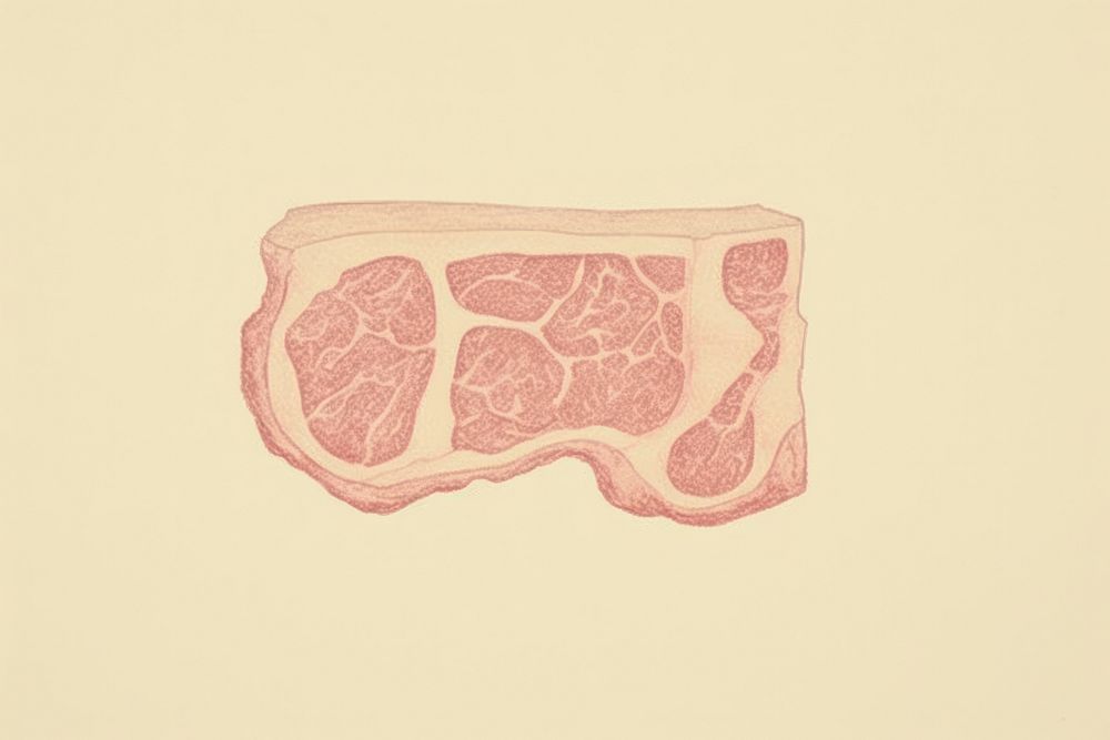 Beef magnification biology medical.