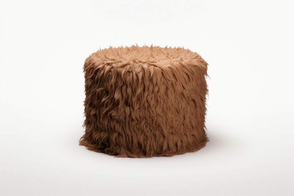 Birthday chocolate cake fur furniture hedgehog.