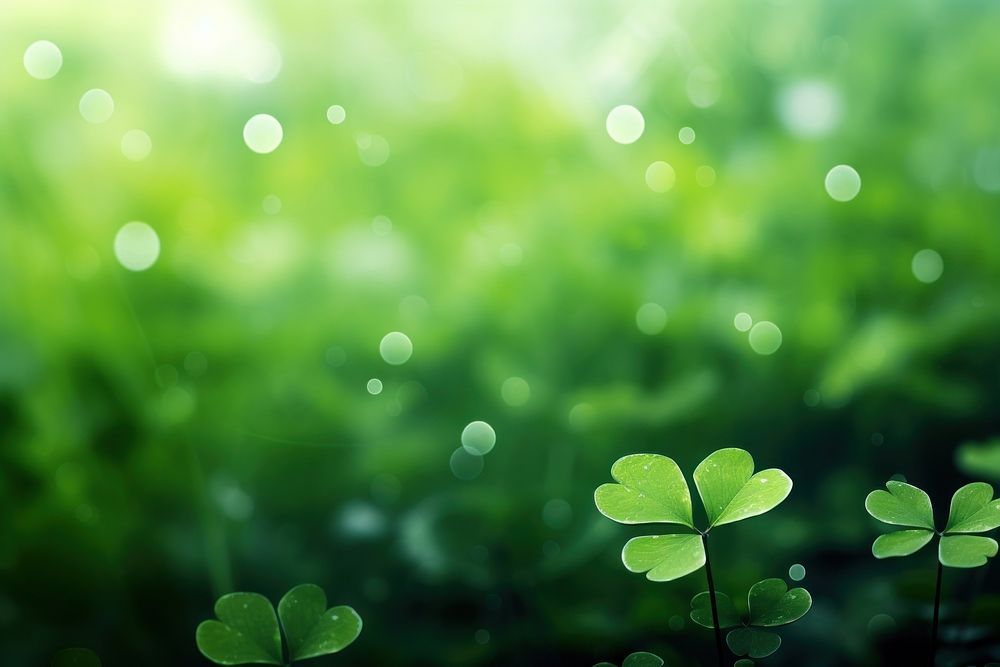 Clover leaf bokeh effect background backgrounds outdoors nature.