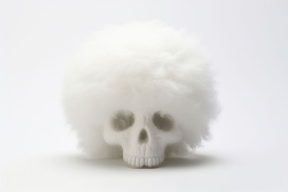 Skull portrait white photography.