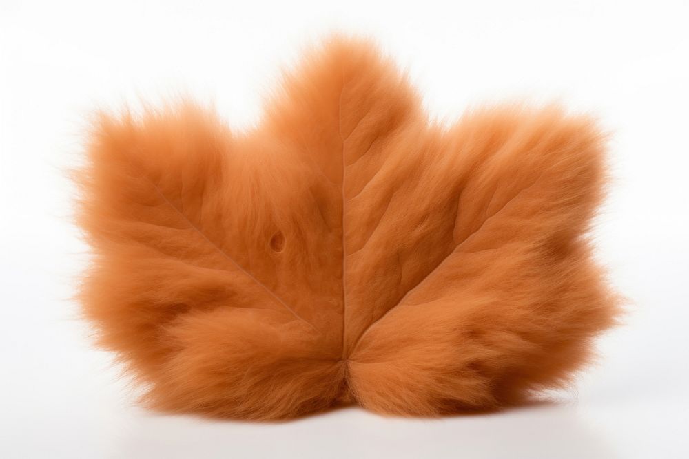 Maple leaf fur softness textile.