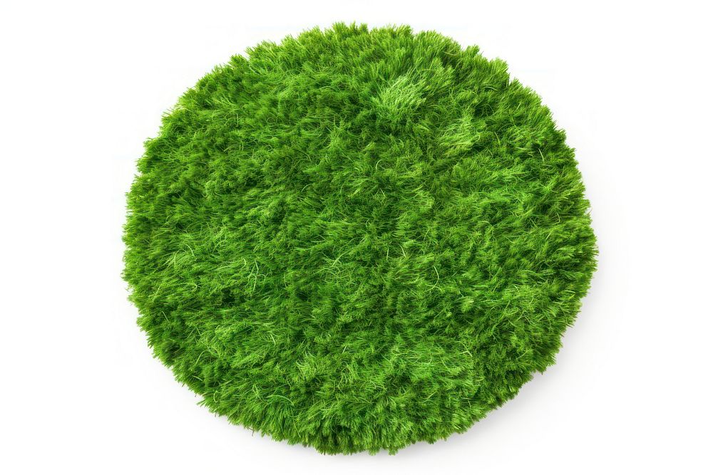Grass circle plant grass.