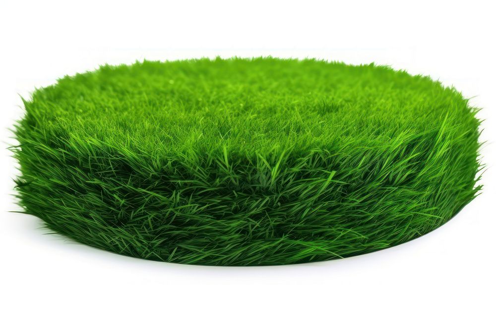 Grass grass circle plant.