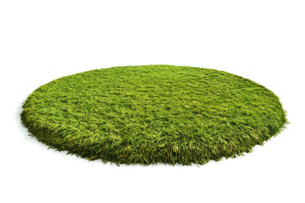 Grass grass circle plant.