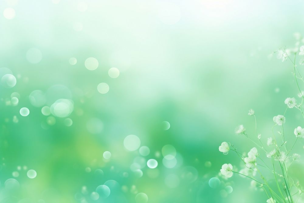 Green bokeh effect background backgrounds outdoors nature.