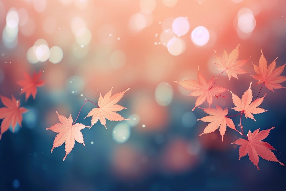 Maple leaf pattern bokeh effect background backgrounds outdoors plant.