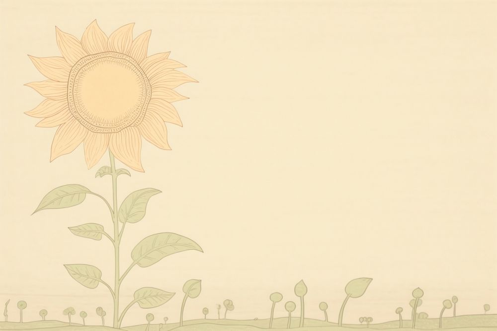Sun flower backgrounds sunflower drawing.