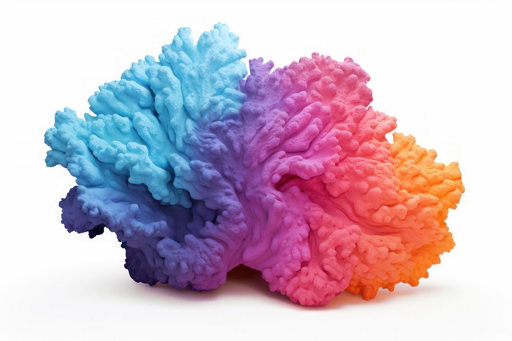Colorful plaster coral white background undersea outdoors.