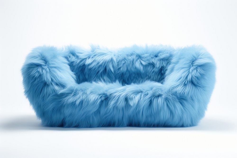 Blue sofa mammal fur pet.