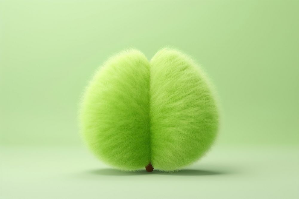Leaf green plant fur.