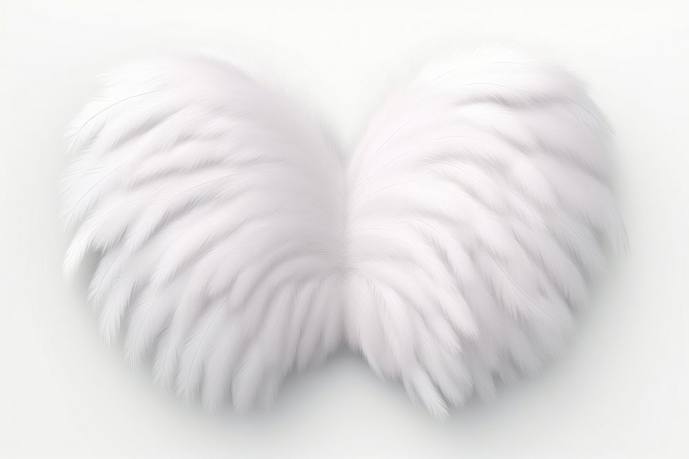 Wing white softness feather.