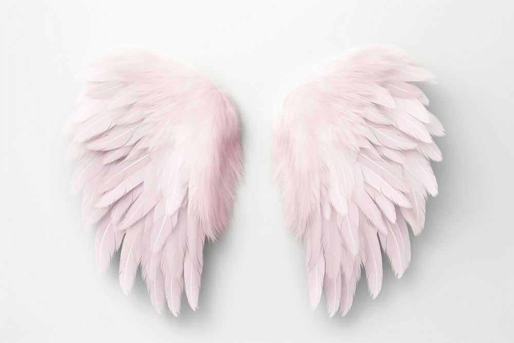 Wings angel archangel softness.