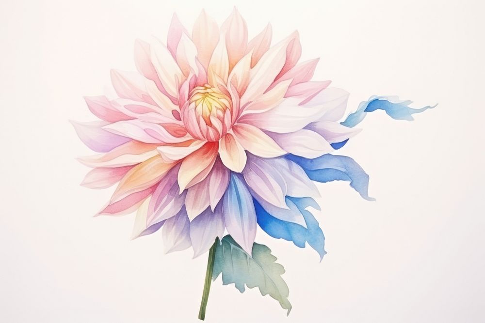 Watercolor illustration abstract flower dahlia plant inflorescence.