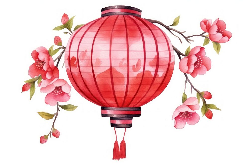 Watercolor illustration chinese lantern flower plant white background.