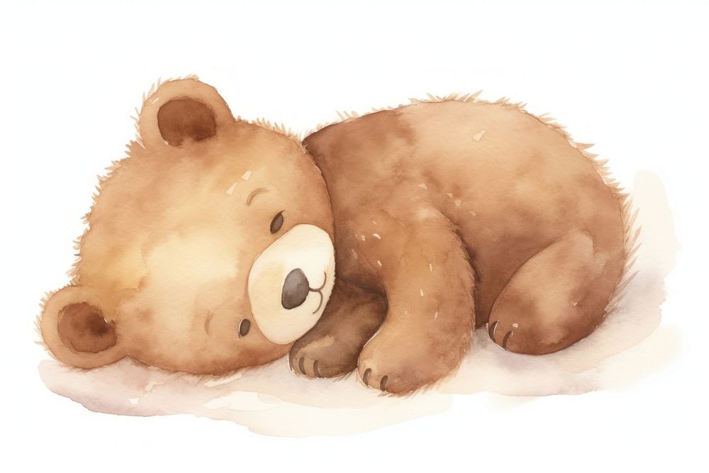 Teddy bear mammal cute white background.
