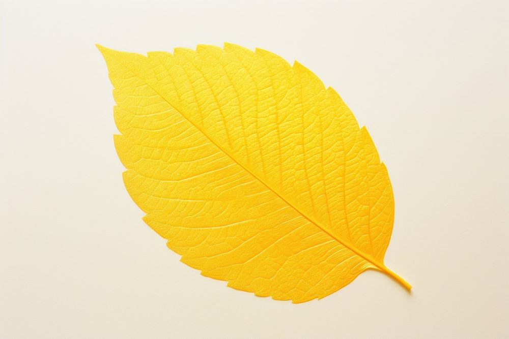 Yellow leaf Risograph printing plant petal pattern.