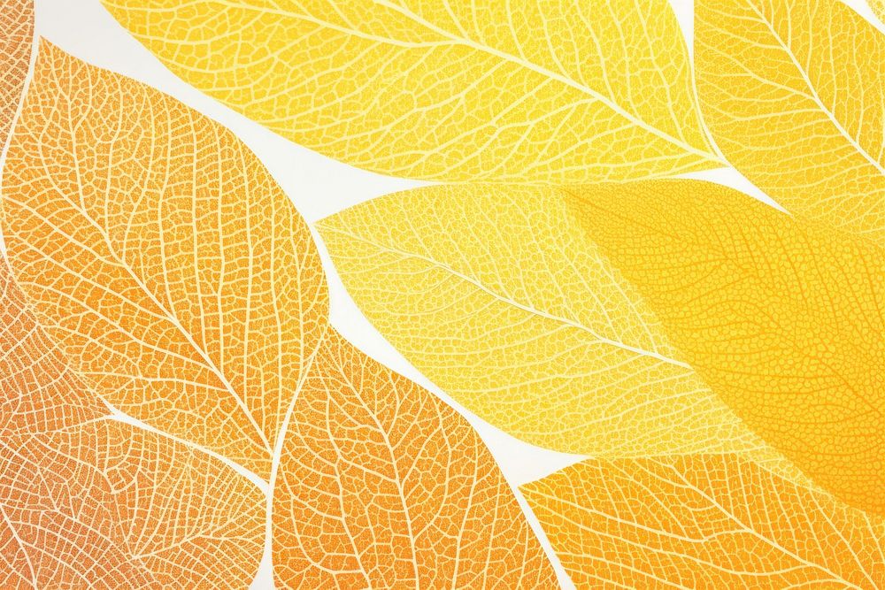 Yellow leaf Risograph printing backgrounds plant sunlight.