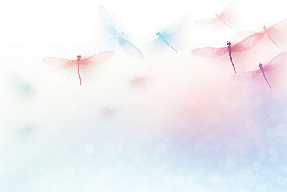 Dragonflies backgrounds insect petal.