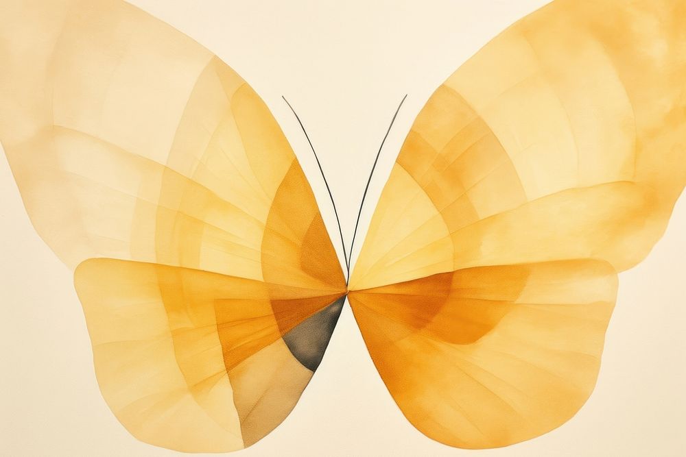 Butterfly abstract insect yellow.