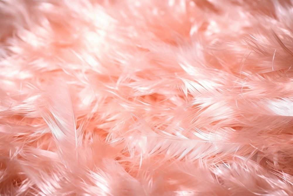 Fur texture backgrounds accessories accessory.