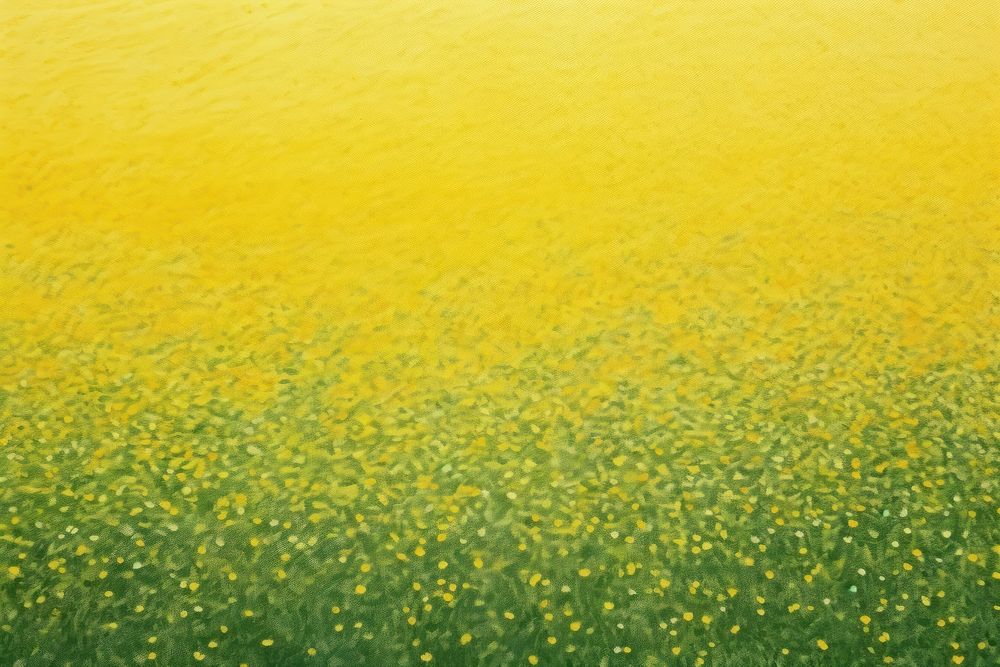 Field of yellow flowers landscapes backgrounds grassland outdoors.