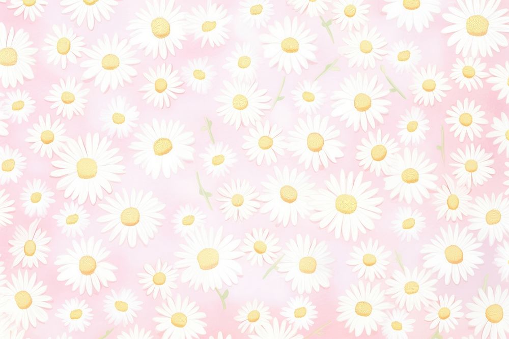 Daisy pattern backgrounds flower.