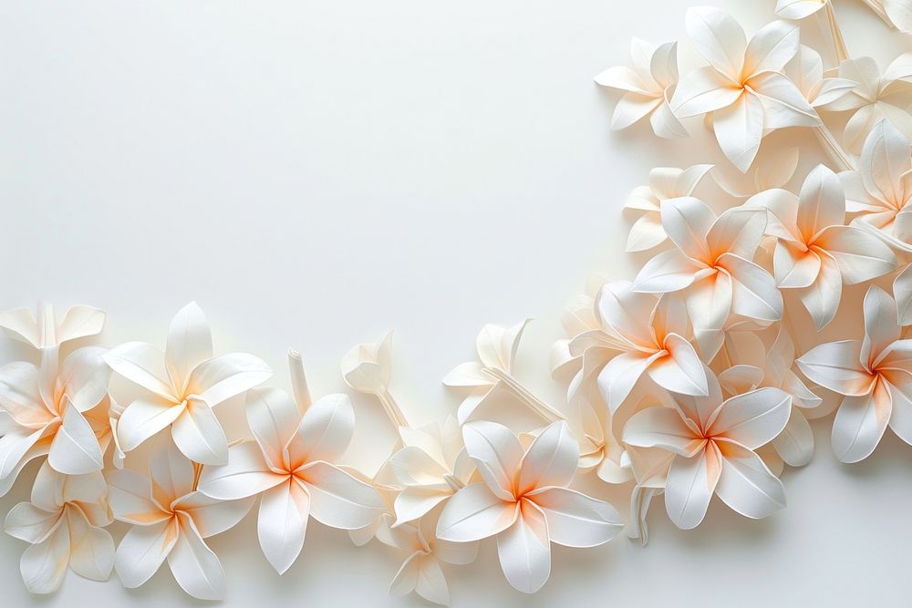 Jasmine petals floral border flower plant white.