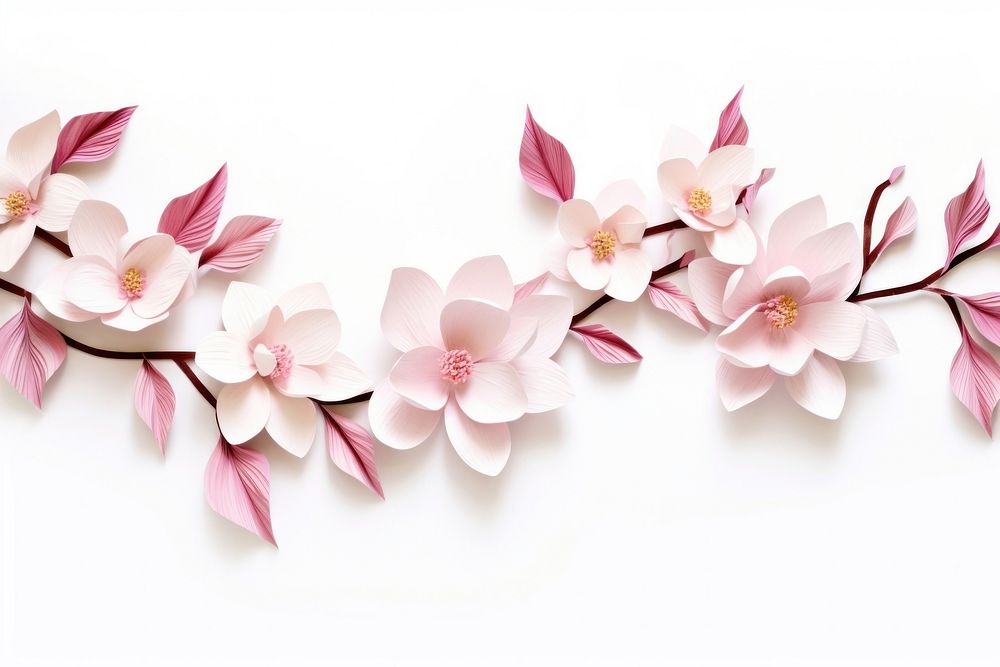 Magnolia floral border flower blossom orchid.
