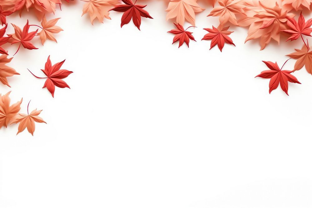 Maple floral border backgrounds plant paper.