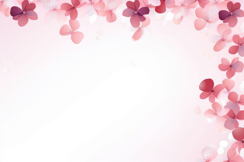 Cherry blossom petals flower plant backgrounds.