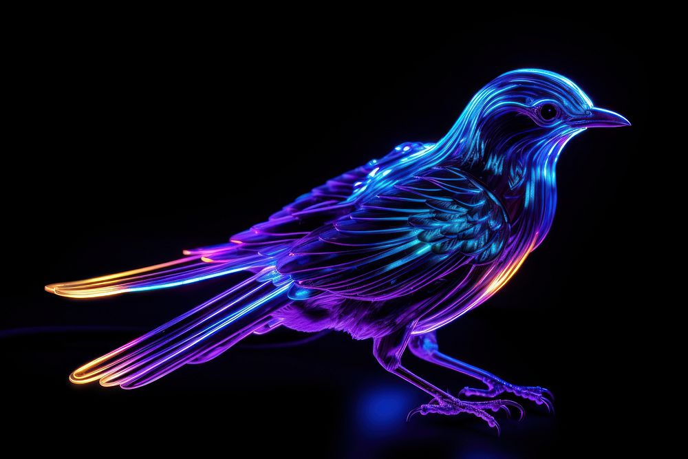 Neon bird animal purple light.