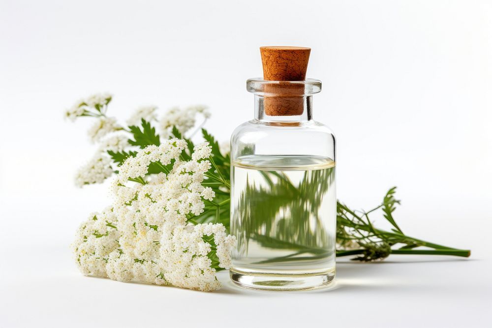 Yarrow flower with yarrow tincture in a glass bottle perfume plant white.