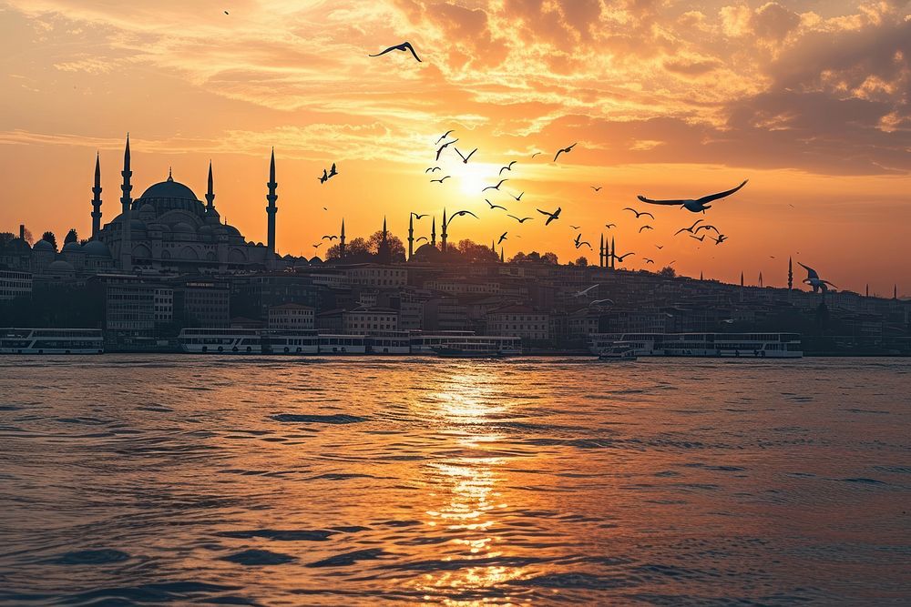 Istanbul architecture cityscape building.