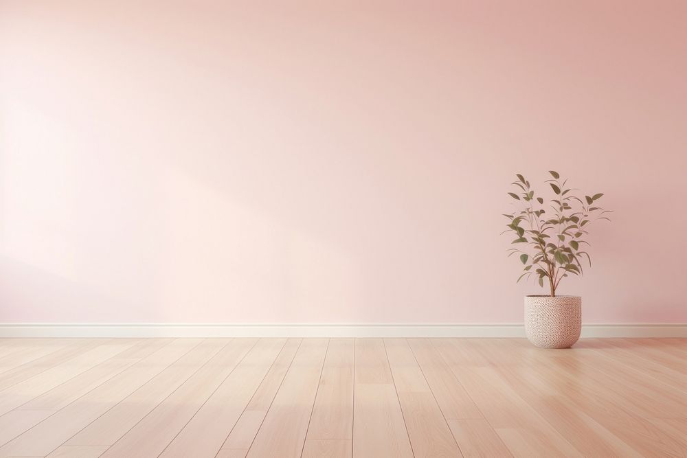 Light pink wall in an empty room with a wooden floor architecture flooring plant.
