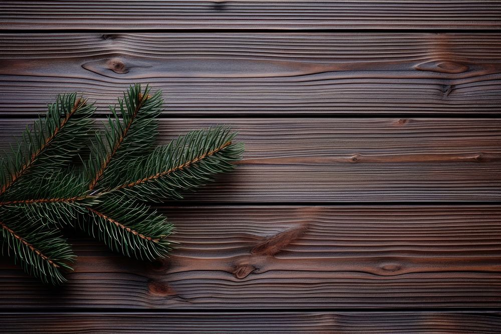 Pine tree and wood backgrounds christmas plant.
