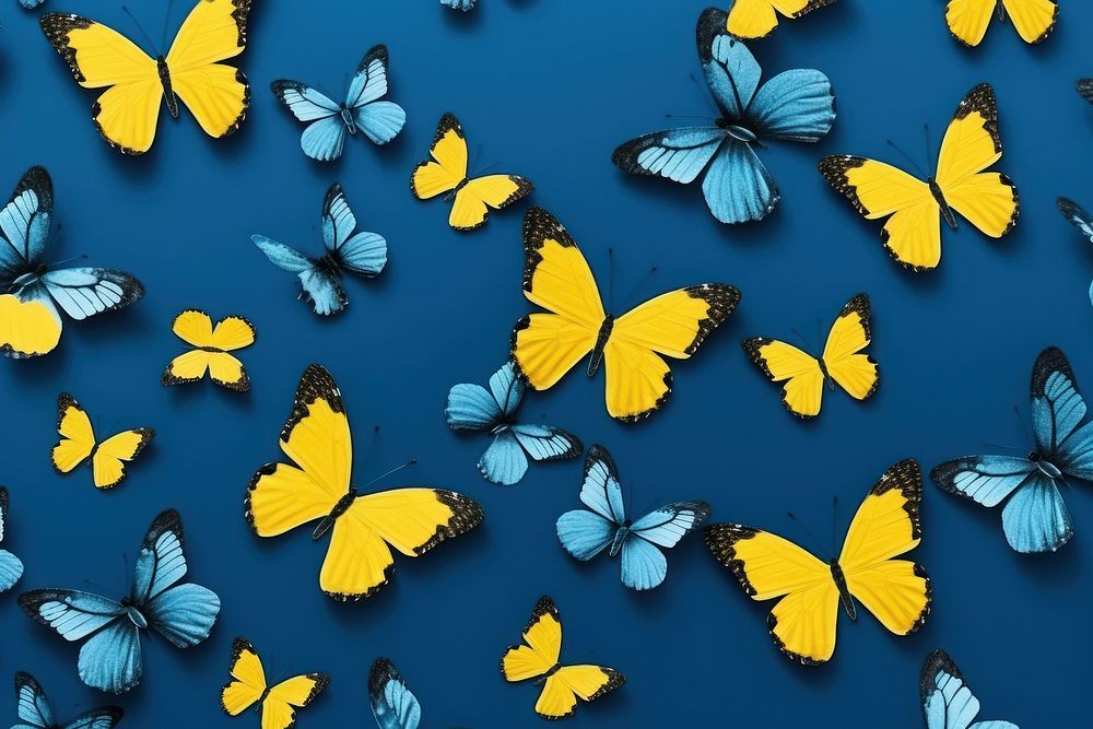 Butterflies pattern backgrounds butterfly animal.