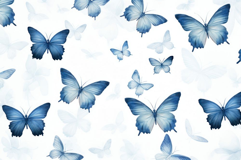 Butterfly pattern animal insect white.