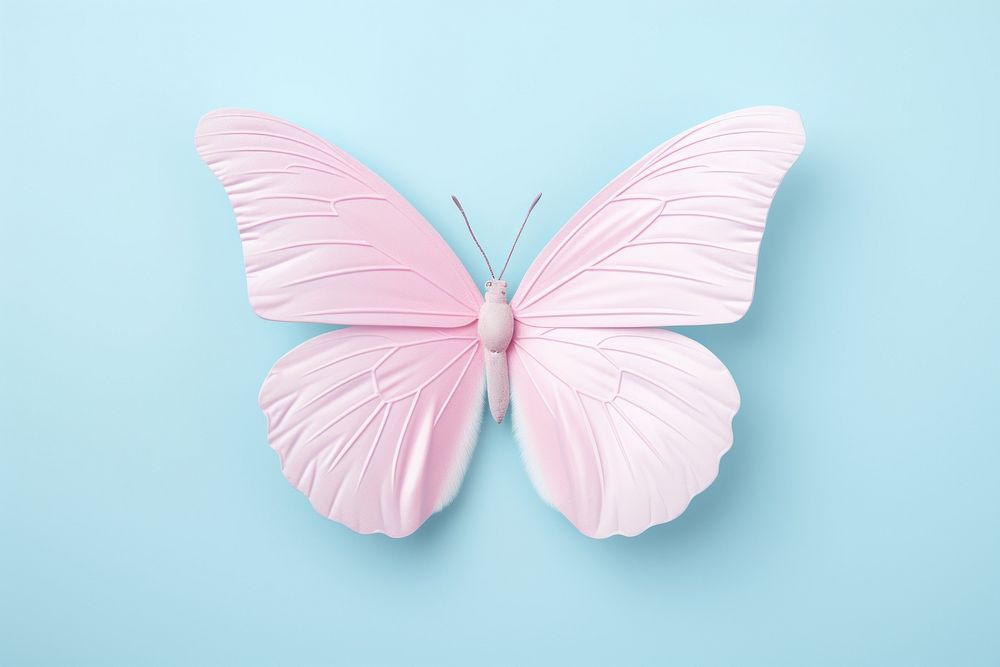 Butterfly background animal insect invertebrate.