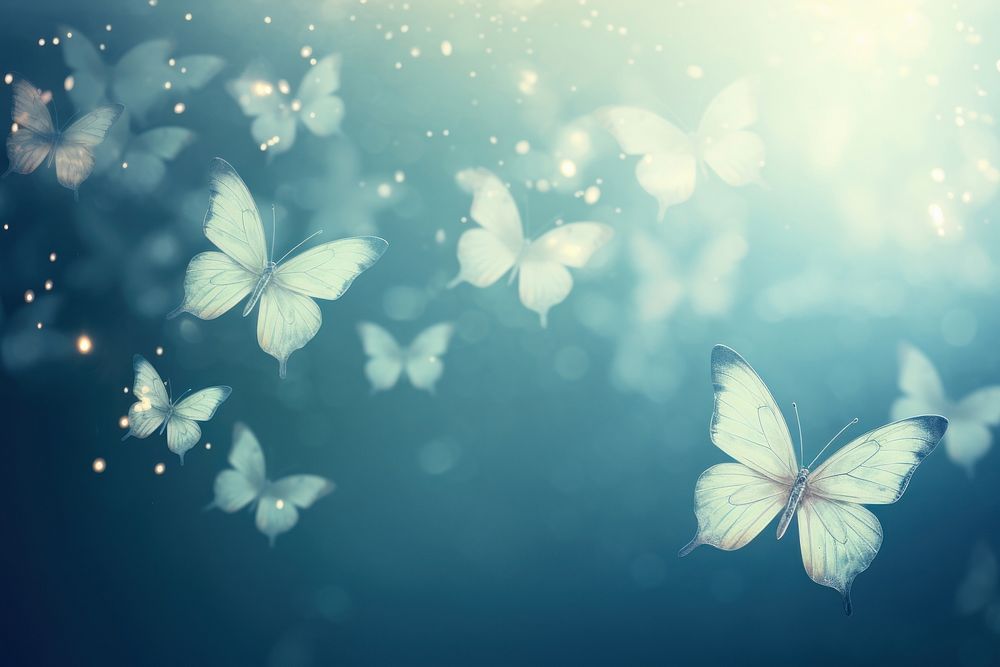 Butterfly background backgrounds sunlight outdoors.