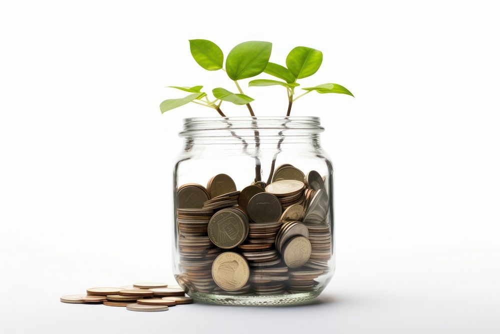 Jar of money plant economy green.