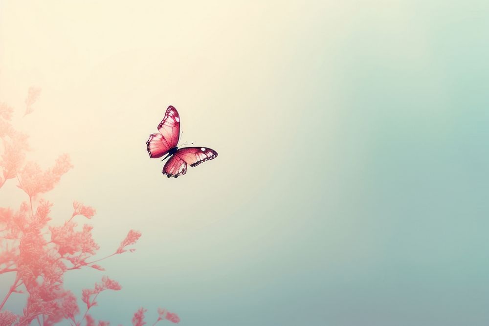 Butterfly background outdoors animal insect.