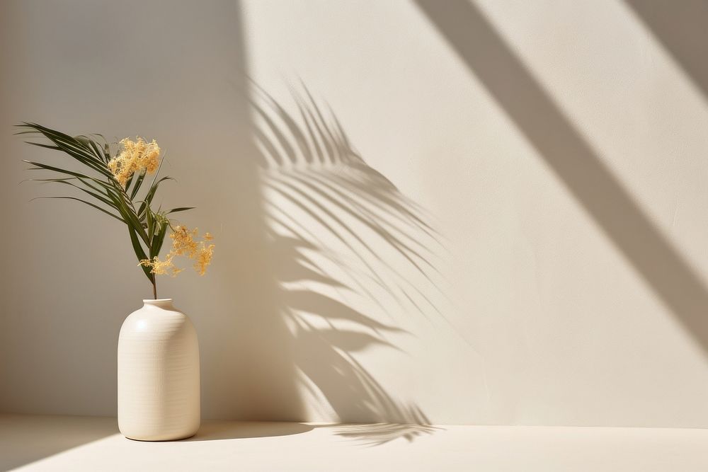 Vase and flower shadow plant wall.