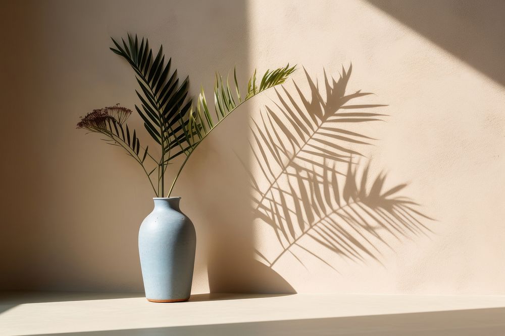 Vase and flower shadow plant wall.