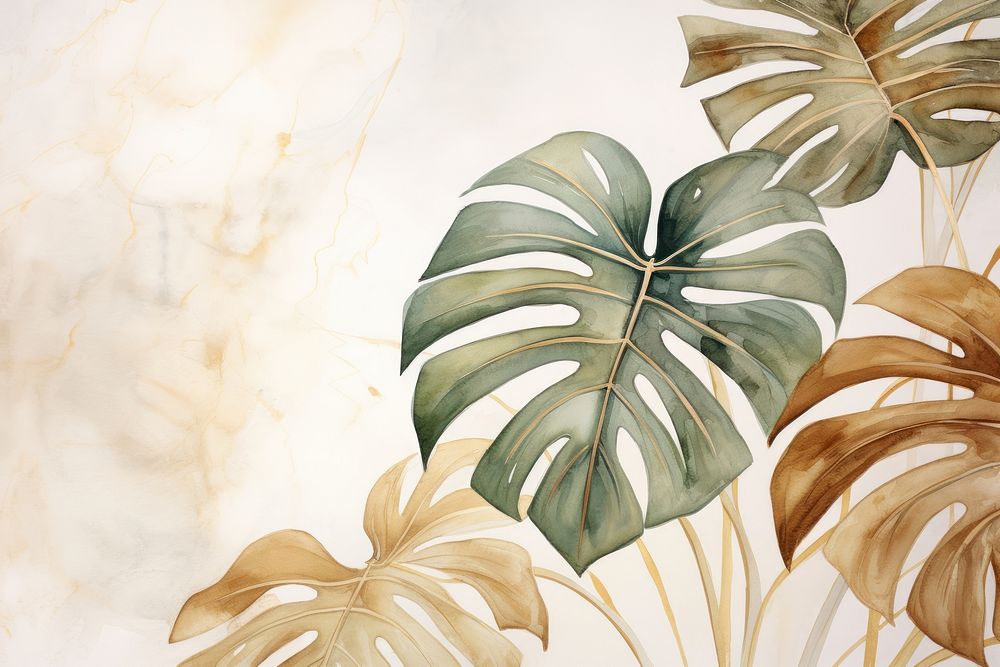 Monstera watercolor background backgrounds plant leaf.