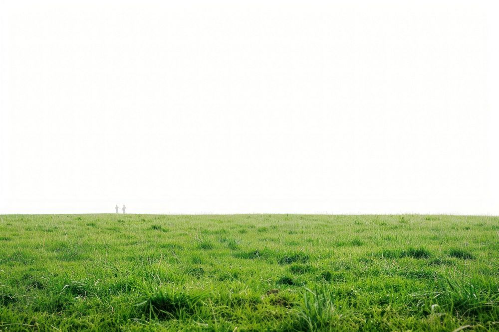 Field nature grassland landscape.