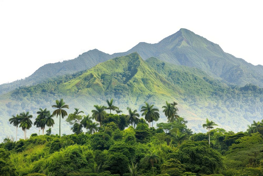 Tropical mountain range landscape nature vegetation.