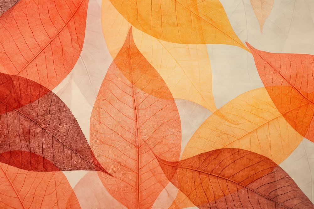 Autumn leaves backgrounds abstract textured.