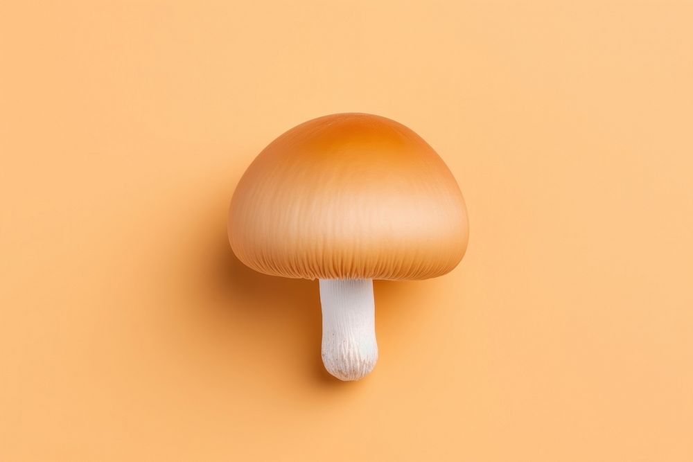 Mushroom mushroom fungus agaric.