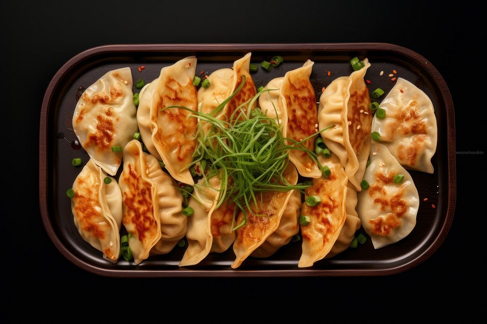 Gyoza dumpling plate food.